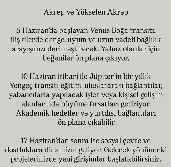 haz4 (9).webp
