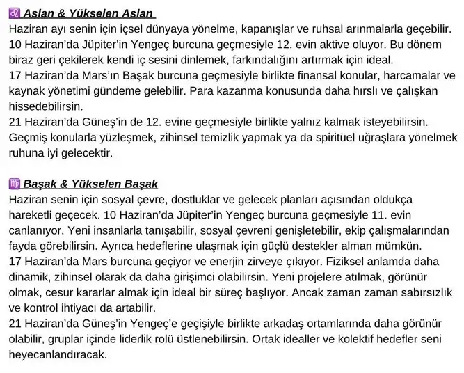 haz6 (3).webp