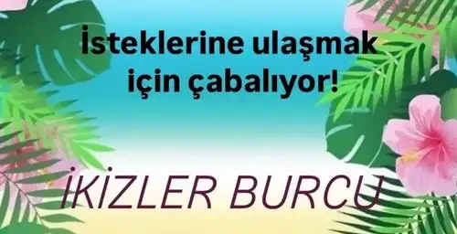 haz6 (3).webp