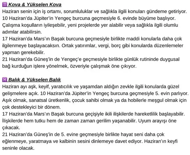 haz6 (6).webp