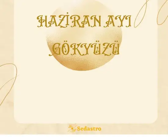 haz8 (1).webp