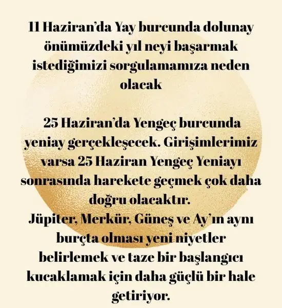 haz8 (5).webp