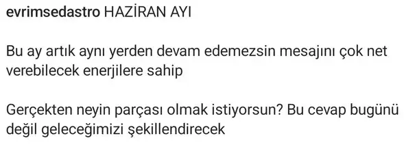 haz8 (6).webp