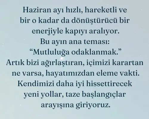 haz9 (2).webp