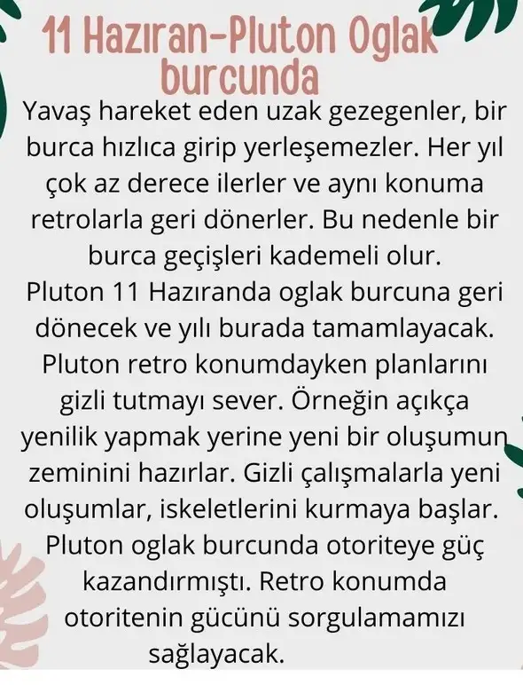 haziran aylık (3).webp