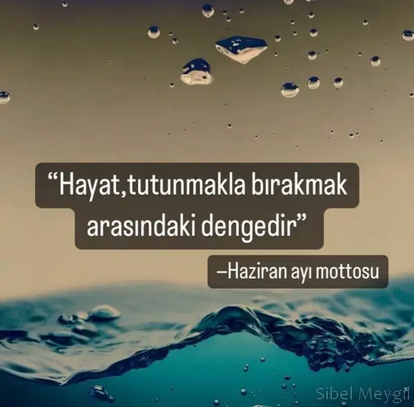 haziran aylık burç2 (1).webp