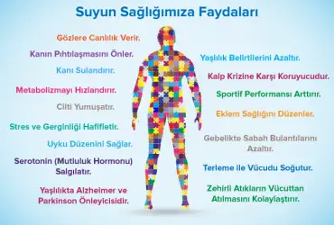 Hemodiyaliz_Su_Artma_Sistemi_Nedir.webp