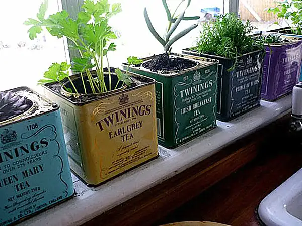 herb-windowsill-garden1.webp