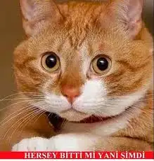 herşeybittimi.webp