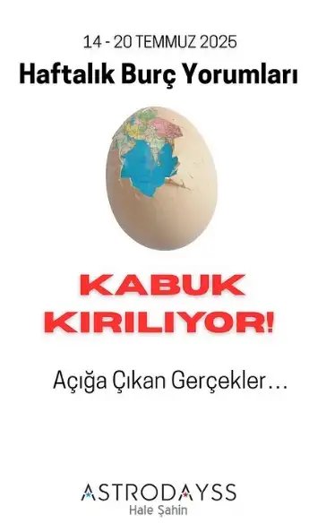 hft (4).webp