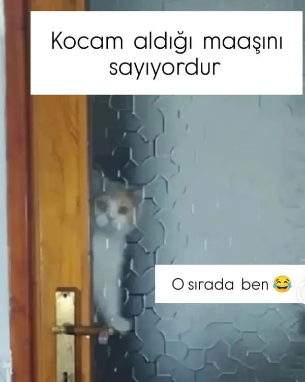 hftlık (1).webp