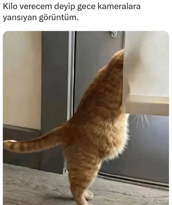 hftlık (12).webp