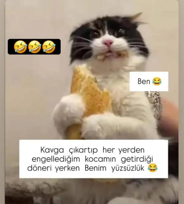 hftlık (3).webp