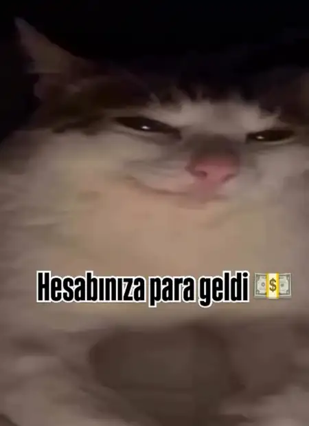 hftlık (4).webp