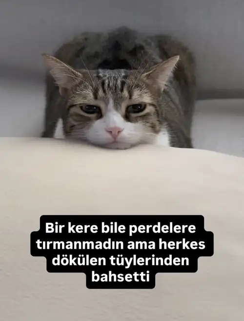 hftlık (5).webp