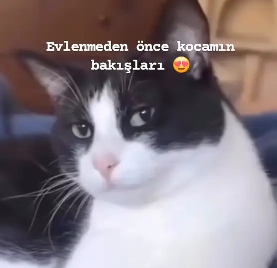 hftlık (7).webp