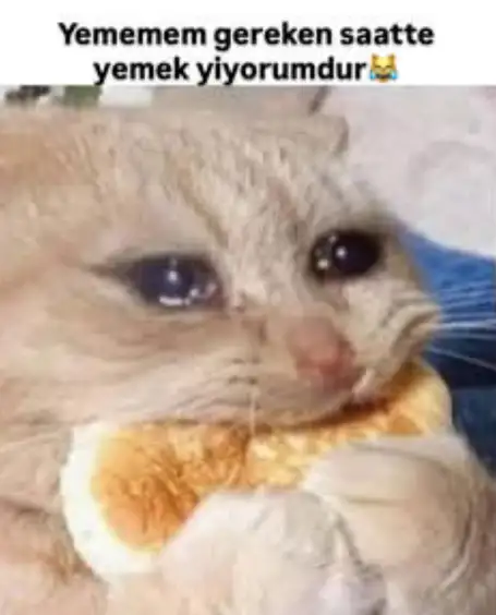 hftlık (8).webp