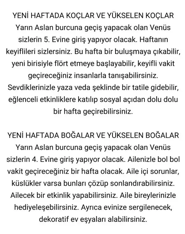 hftt (2).webp