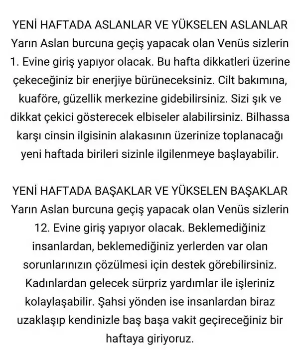 hftt (4).webp