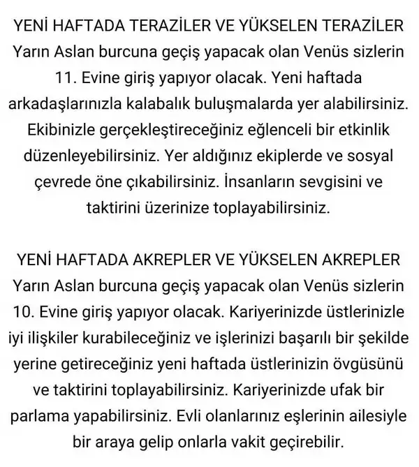 hftt (5).webp