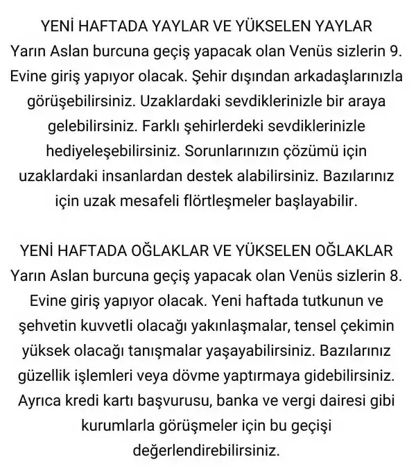 hftt (6).webp