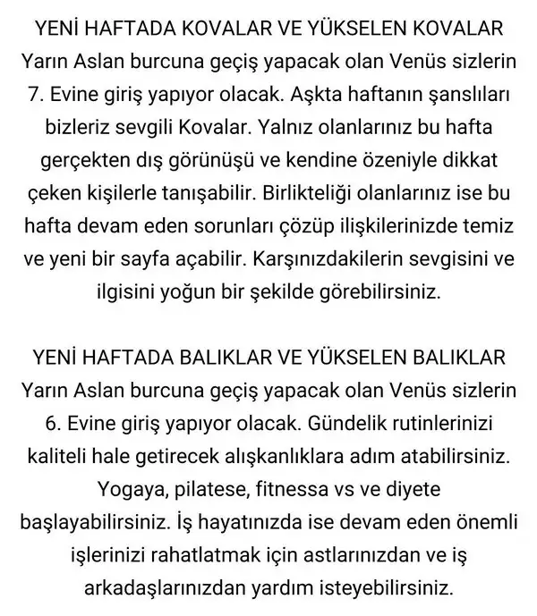 hftt (7).webp