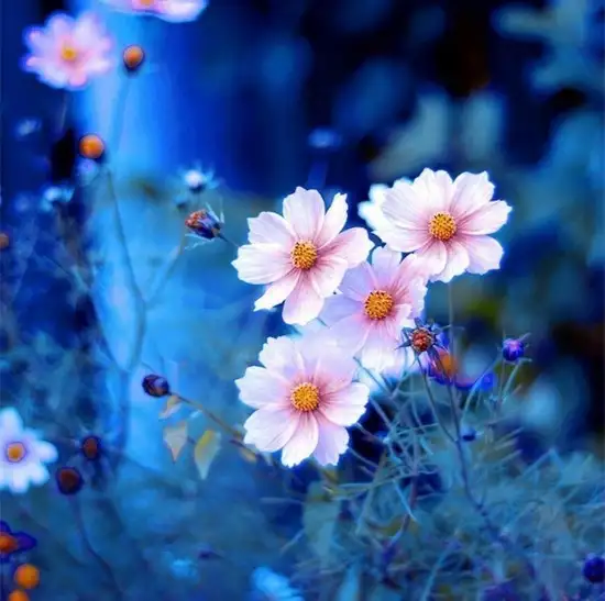 hh (15).webp