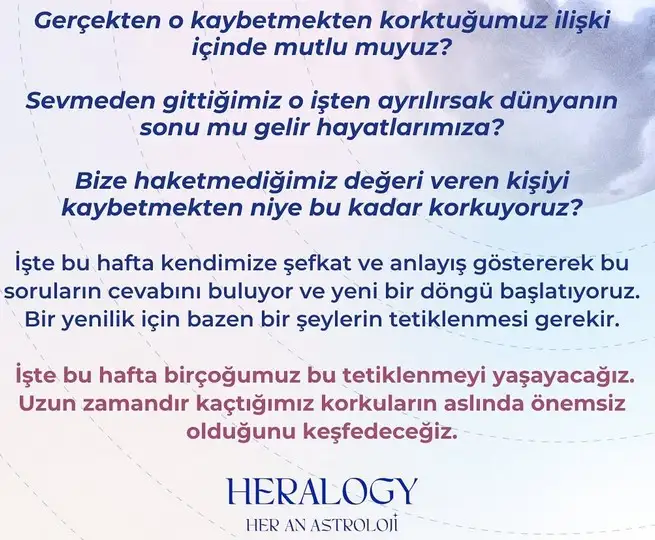 hh (2).webp