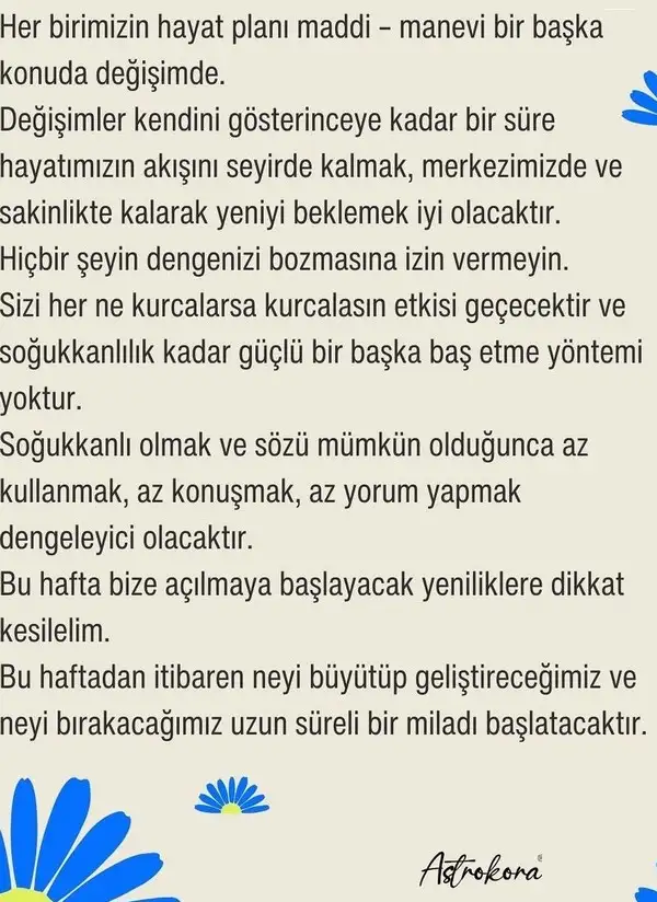 hh (2).webp