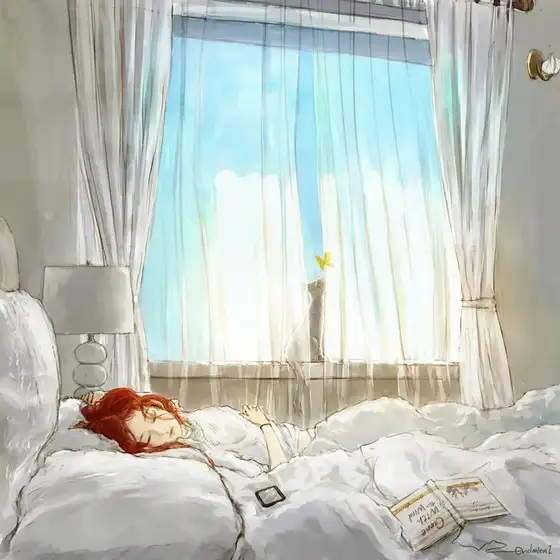 hh (5).webp
