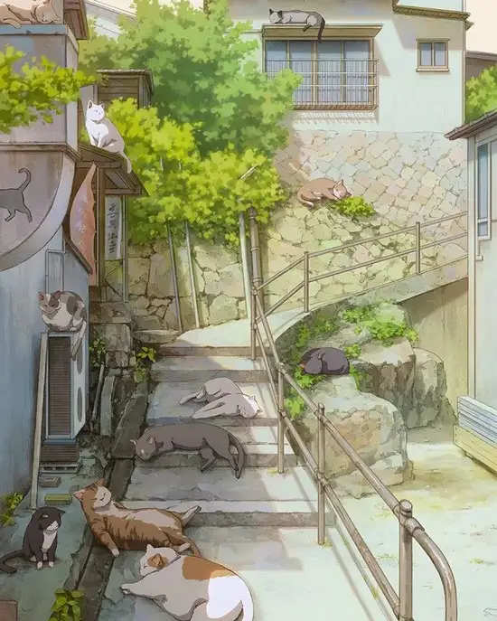 hh (5).webp