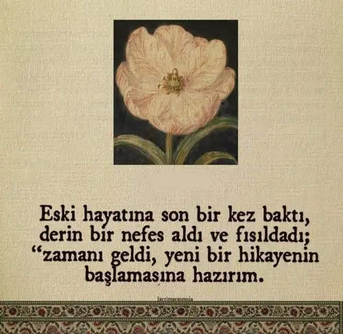 hh tt (1).webp