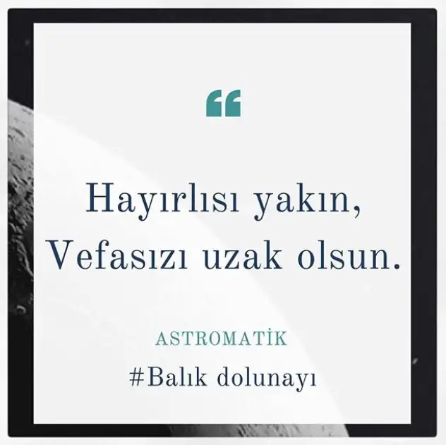 hh.webp