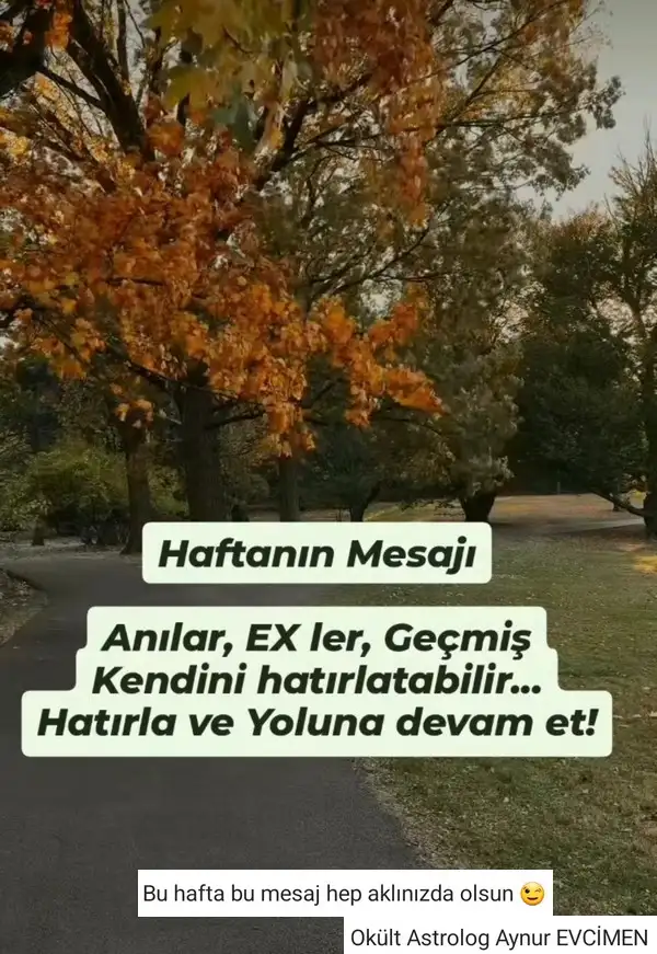 hh.webp