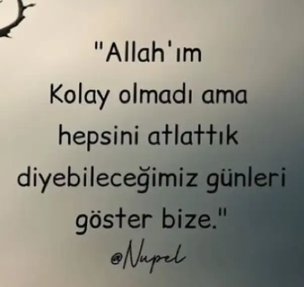 hh.webp