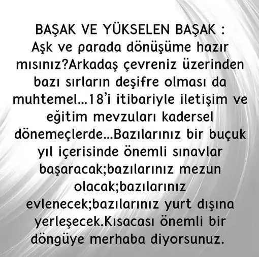 hh1 (7).webp