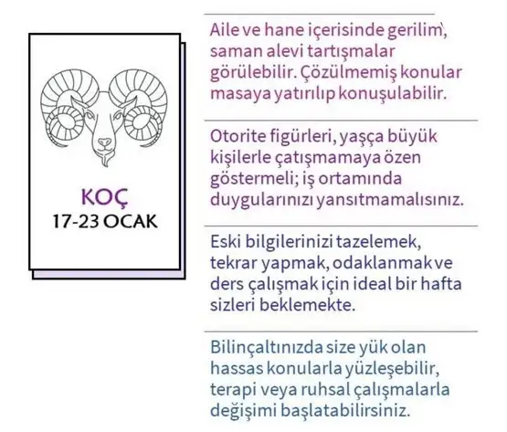 hh2 (2).webp