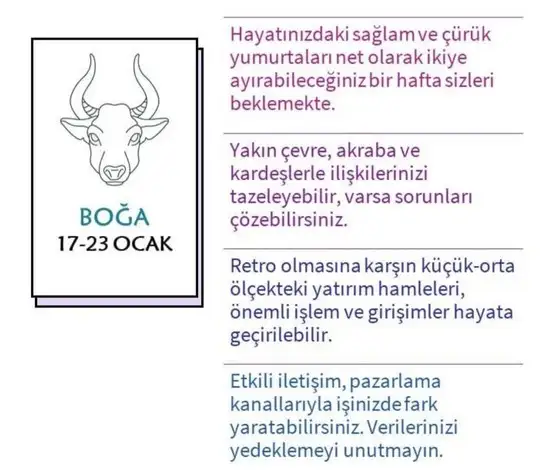 hh2 (3).webp