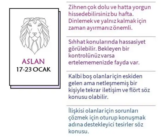 hh2 (6).webp
