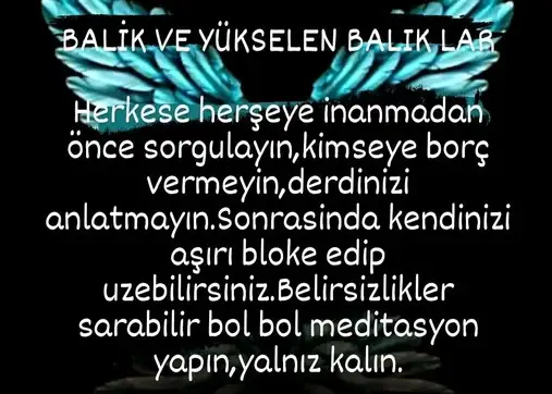 hh3 (12).webp