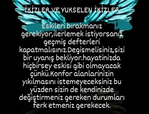 hh3 (3).webp