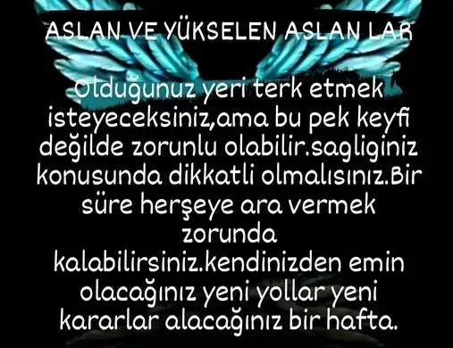 hh3 (5).webp