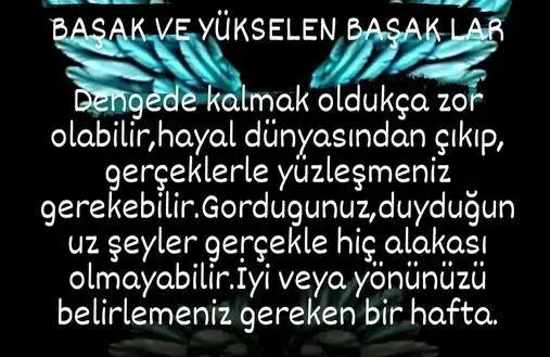 hh3 (6).webp
