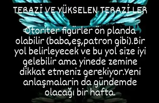 hh3 (7).webp