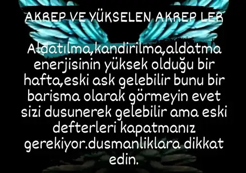 hh3 (8).webp