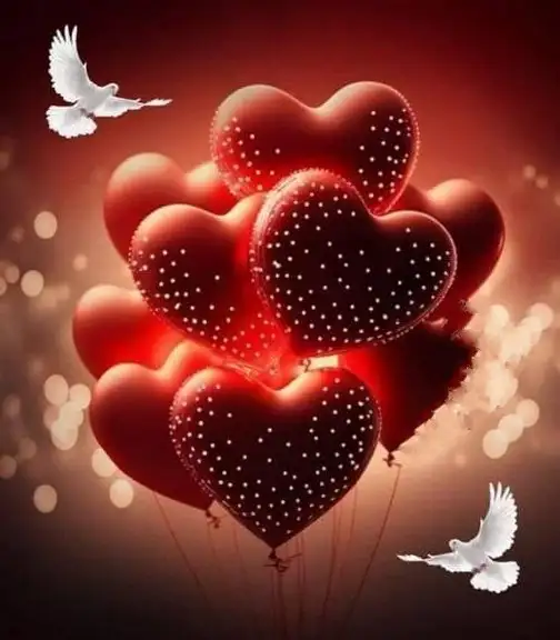 hh4 (2).webp
