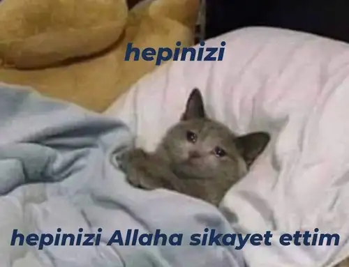 hhh (10).webp