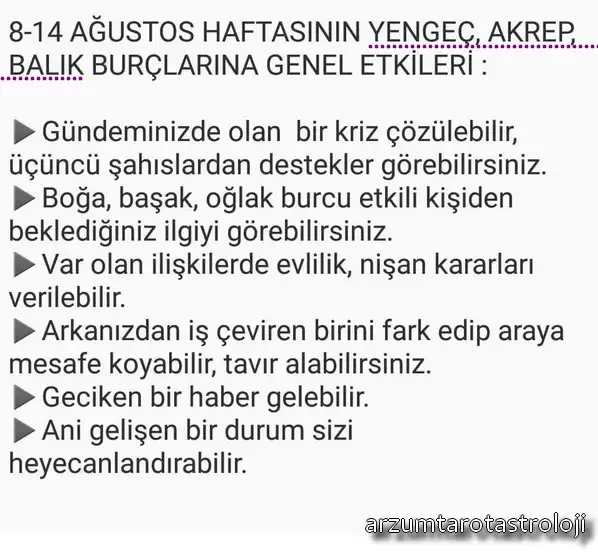 hhh (4).webp