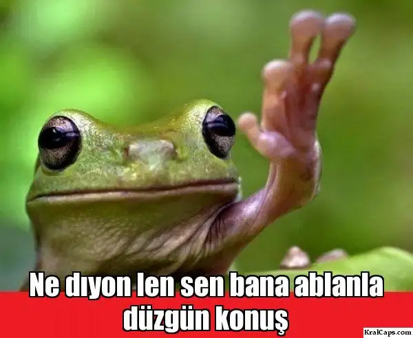 hjnzth.webp