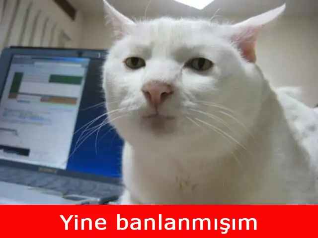 hmpf.webp